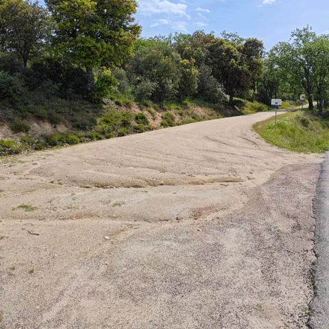 Curva de camino rural entre árboles y matorral
