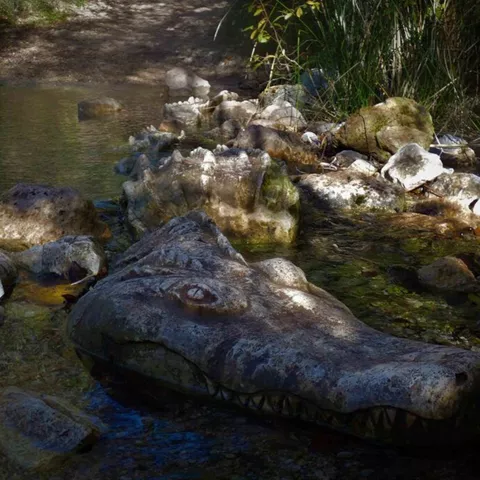 Escultura con forma de cocodrilo parcialmente sumergida en un arroyo.