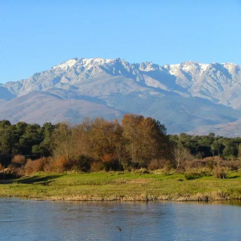 Lago con árboles y montañas al fondo