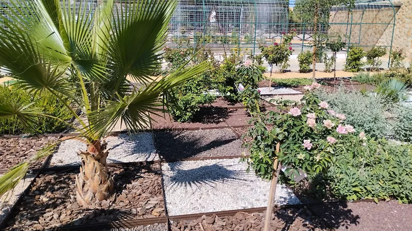 Naturaleza en Parque Julián Gómez-Cambronero Pacheco