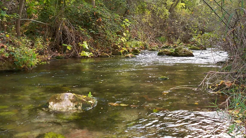 El rio Mundo en los Alejos