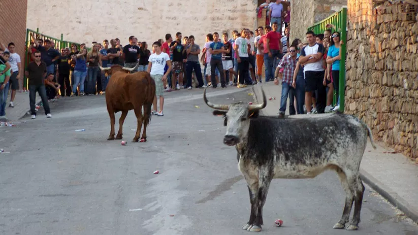 Encierro en las calles de Villamanrique