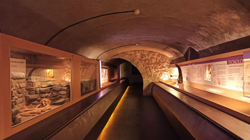 Exposición del Museo Comarcal de Daimiel