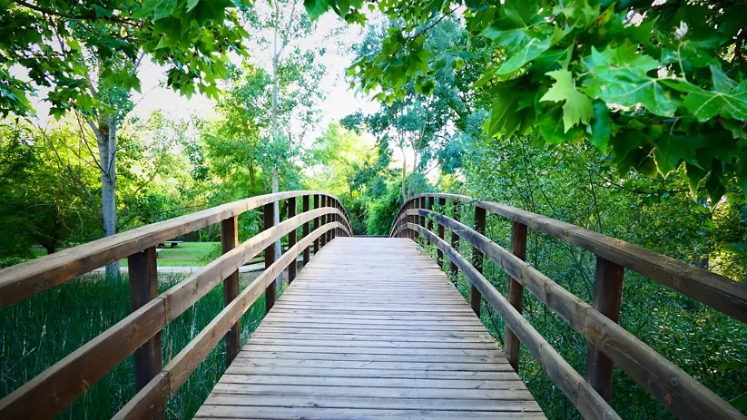 Sendero a la playa del Bullaque en El Torno y El Robledo