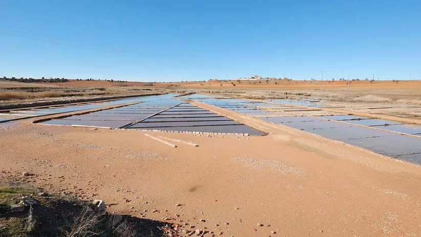 Microrreserva Salinas de Pinilla