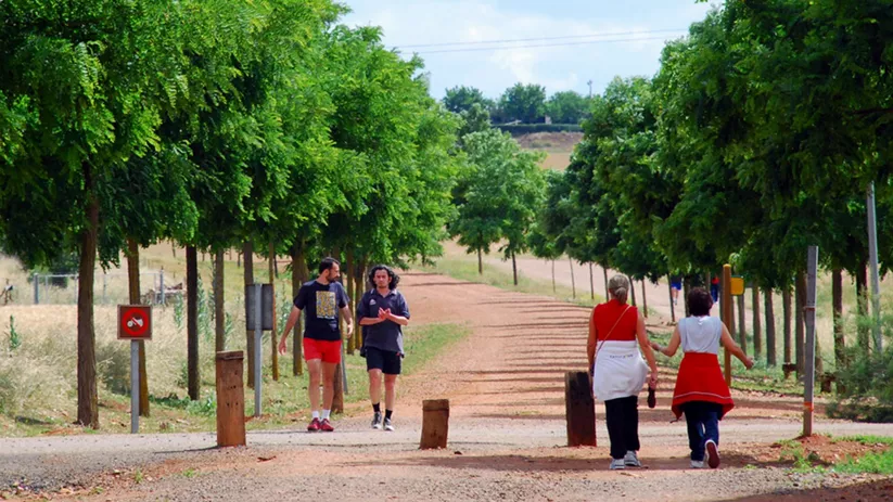 Paseos en la Vía Verde de Poblete