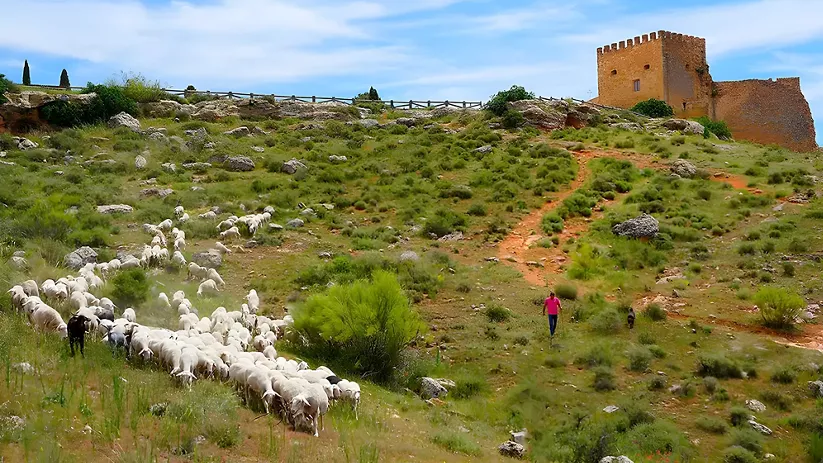 Entorno del Pago Los Cerrillos