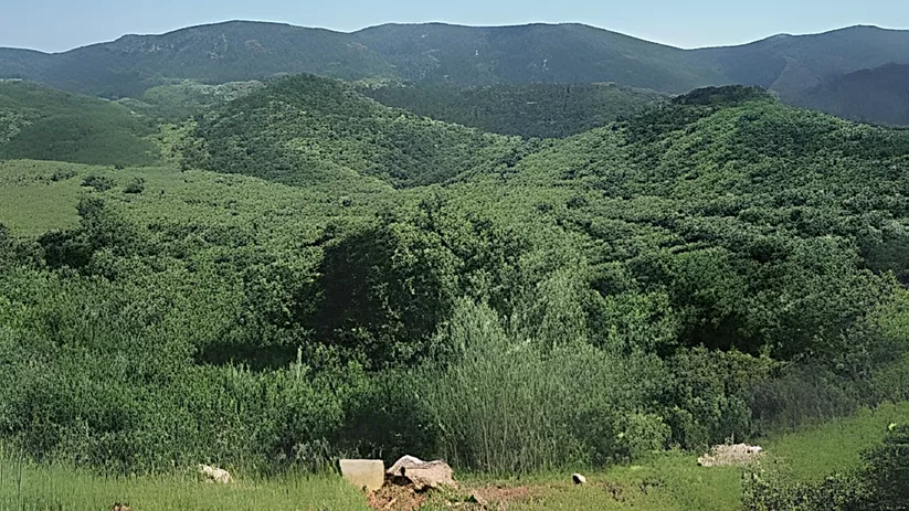 ZEPA Sierra Morena en Ciudad Real
