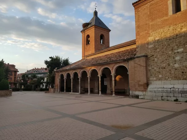 Alovera