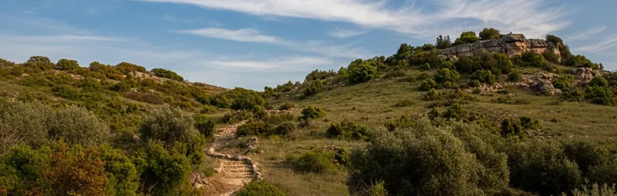 Entorno de Barchín del Hoyo