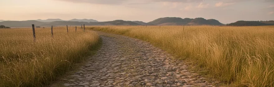 Calzada romana de Chillón