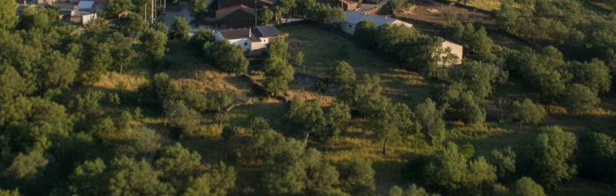 Gascueña de Bornova