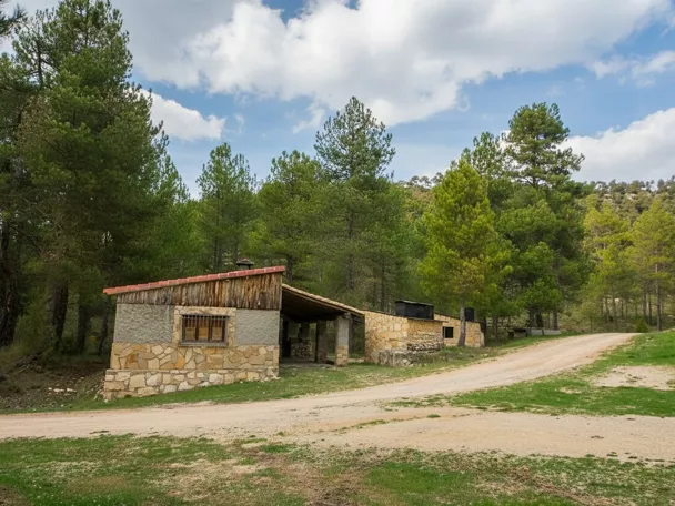 Huérguina
