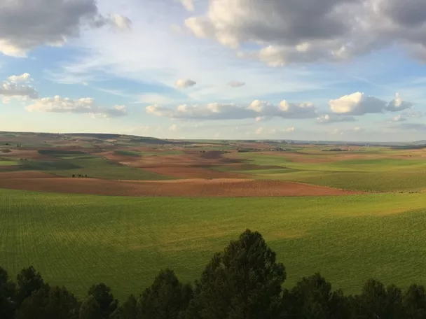 La Hinojosa