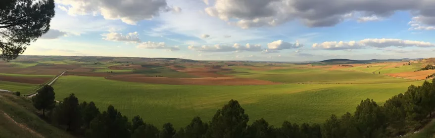 La Hinojosa