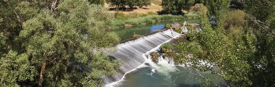 La Parra de las Vegas