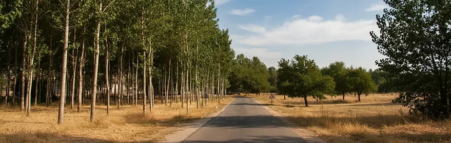 Medranda, Guadalajara