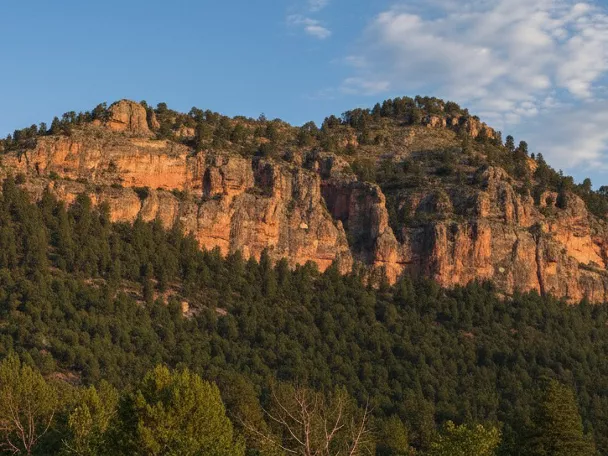 Microrreserva Cuerda de la Melera