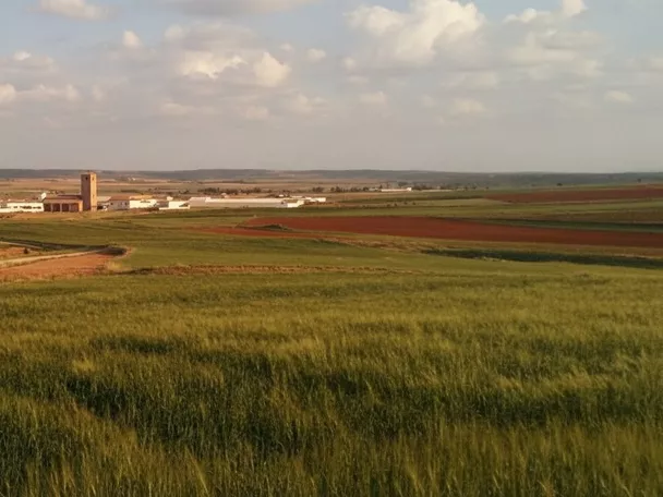 Monreal del Llano