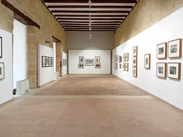 Museo de Fotografía de Huete, Fundación Antonio Pérez