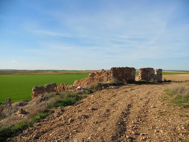 Palomares del Campo