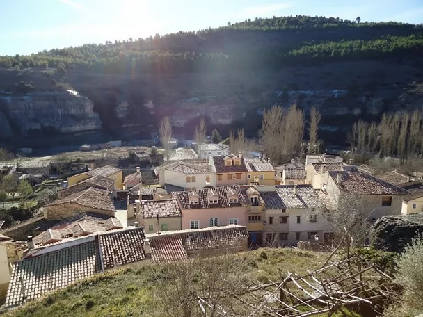 Palomera