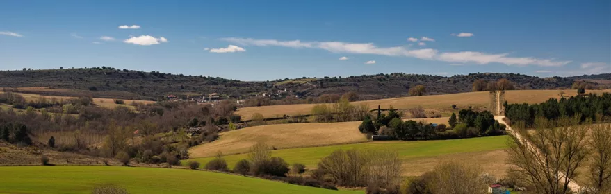 Rebollosa de Jadraque, Guadalajara
