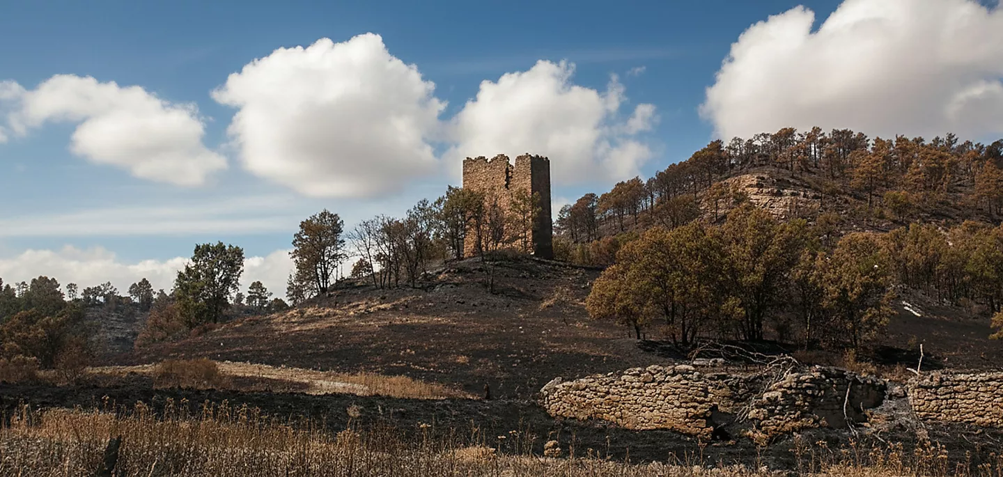Reíllo | Web oficial de Turismo de Castilla-La Mancha
