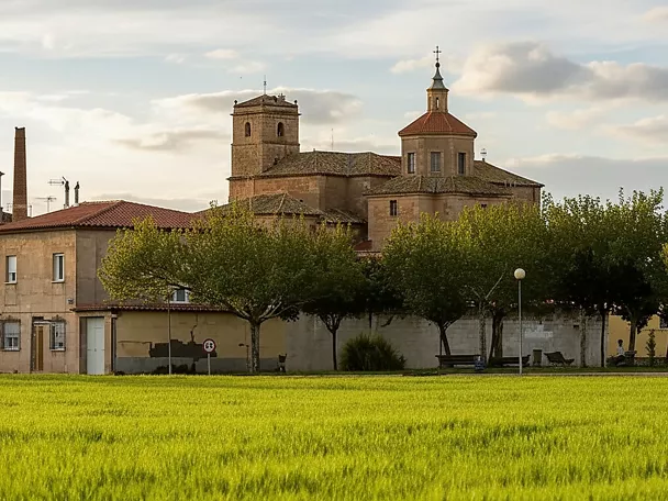 Sisante