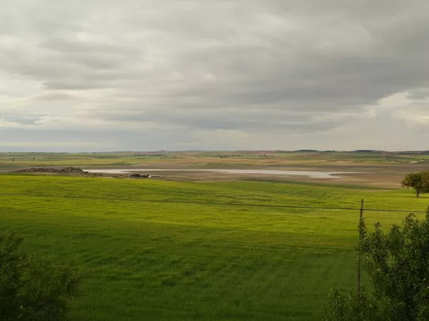 Tresjuncos