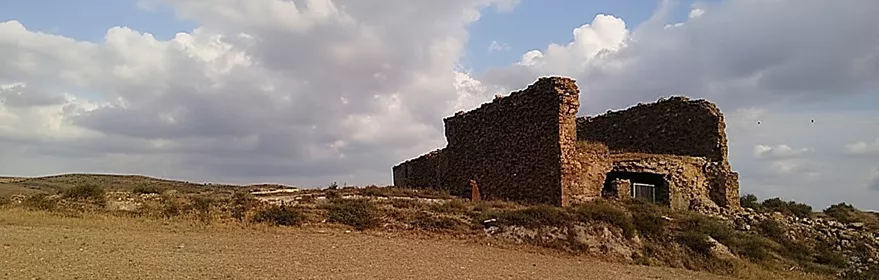 Zarza de Tajo