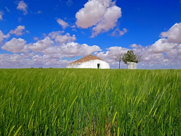 Bombo en Tomelloso, Ciudad Real