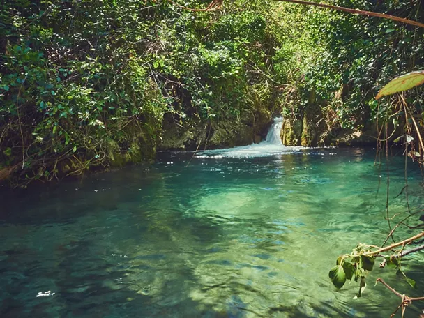 Charco Pataco de Letur