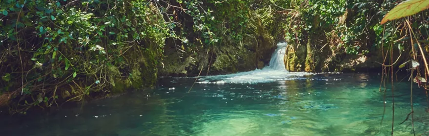 Charco Pataco de Letur