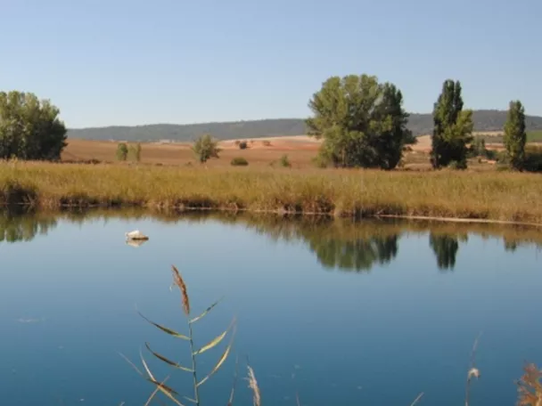 Panorámica del complejo lagunar de Ballesteros