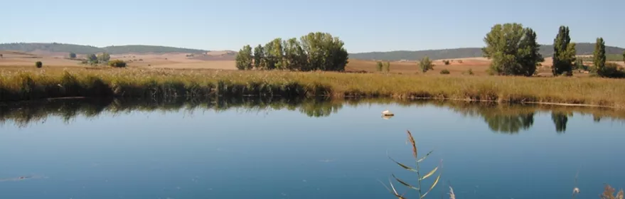Panorámica del complejo lagunar de Ballesteros
