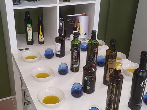 Cata DOP Aceite Campo de Montiel