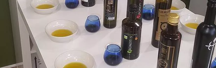 Cata DOP Aceite Campo de Montiel