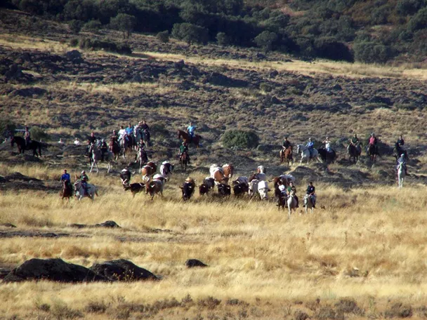 Encierros de Villamanrique
