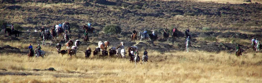 Encierros de Villamanrique