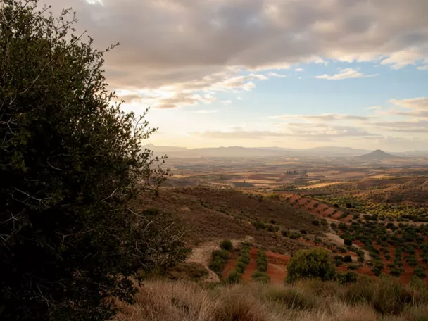 Entorno de Cañizar