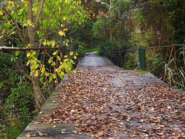 Puente de Los Alejos en Molinicos
