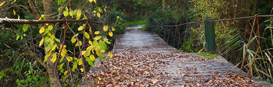 Puente de Los Alejos en Molinicos
