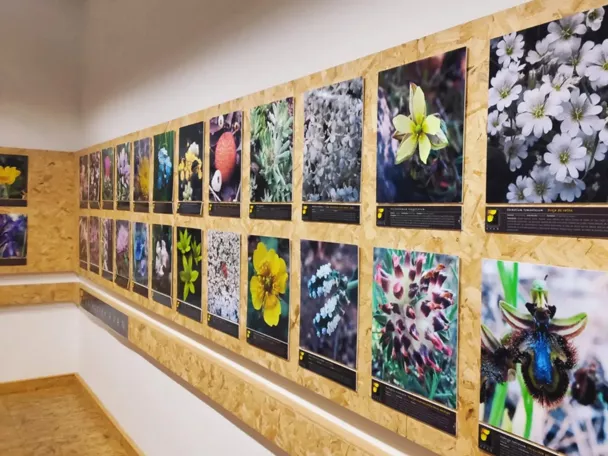 Museo de Ciencias Naturales AVAN