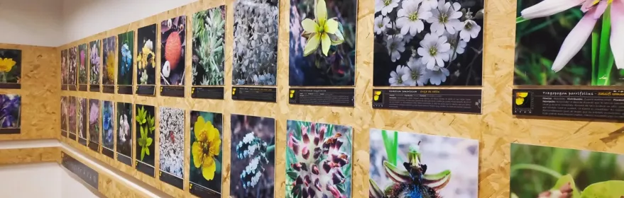 Museo de Ciencias Naturales AVAN