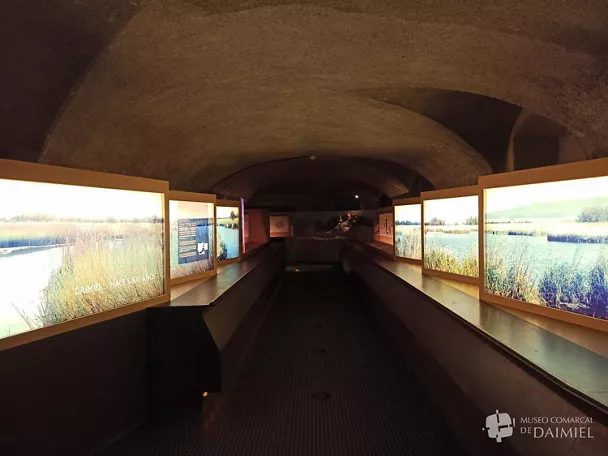 Museo Comarcal de Daimiel