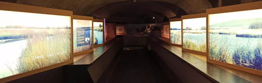 Museo Comarcal de Daimiel