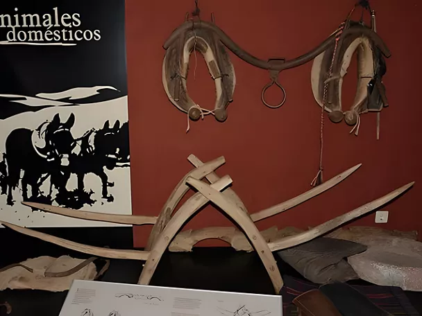 Museo Etnográfico de Chillón