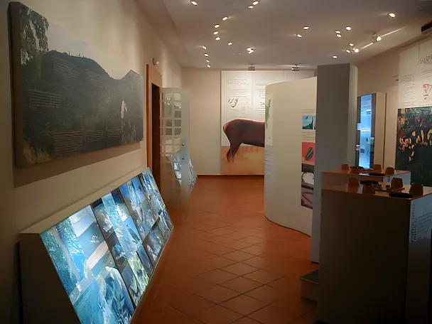 Museo de la Fauna en Retuerta del Bullaque