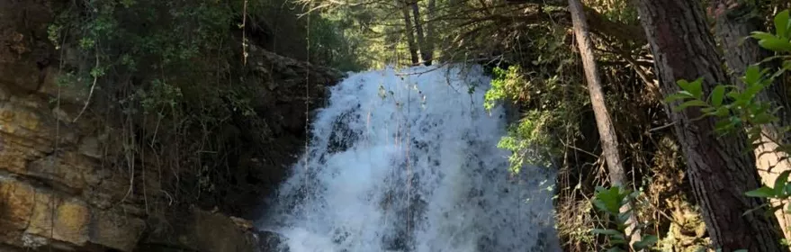 Nacimiento del arroyo Bravo